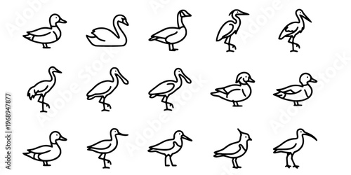 15 Black and White Waterfowl Wading Bird Vector Icons Flat Line Art