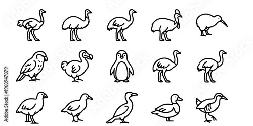 15 Black and White Flightless Bird Vector Icons Flat Line Art Collection