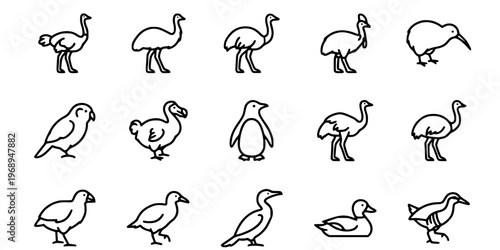 15 Black and White Flightless Bird Vector Icons Flat Line Art Collection