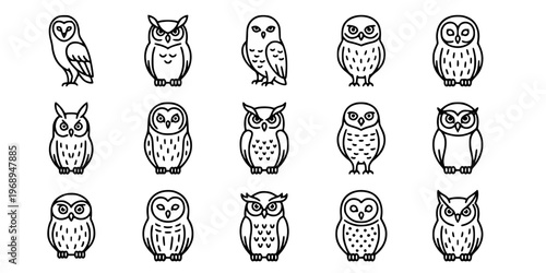 15 Black and White Owl Species Vector Icons Flat Line Art Microstock Set