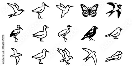 15 Black and White Migratory Bird Vector Icons Flat Line Art Bundle