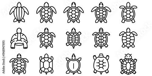 15 Black and White Turtle Tortoise Vector Icons Flat Line Art Bundle