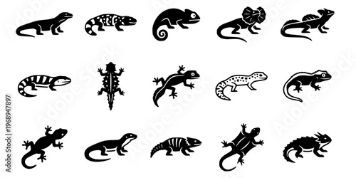15 Black and White Lizard Gecko Vector Icons Flat Line Art Collection