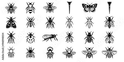 15 Black and White Pollinator Beneficial Insect Vector Icons Flat Line Art