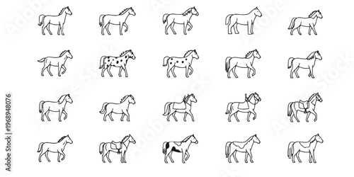 15 Black and White Horse Breed Equestrian Vector Icons Flat Line Art