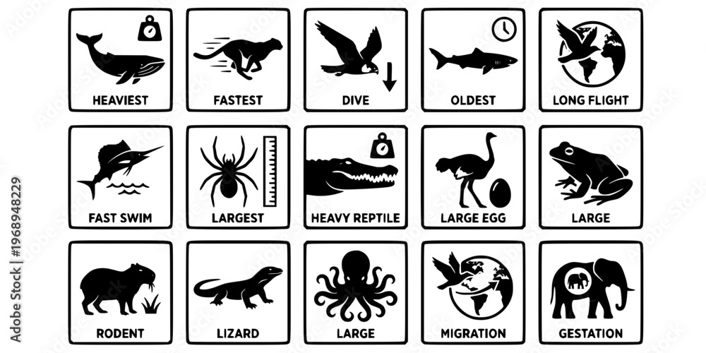 Fototapeta premium 15 Black and White World Record Animal Vector Icons Flat Line Art
