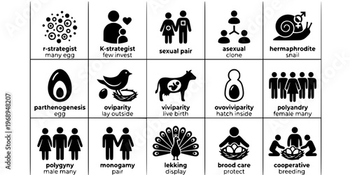 15 Black and White Animal Reproduction Strategy Vector Icons Flat Line Art