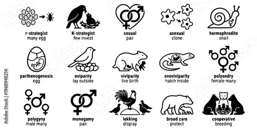 15 Black and White Animal Reproduction Strategy Vector Icons Flat Line Art