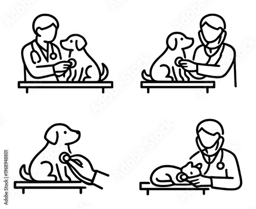 Veterinarians examining dogs on veterinary examination tables