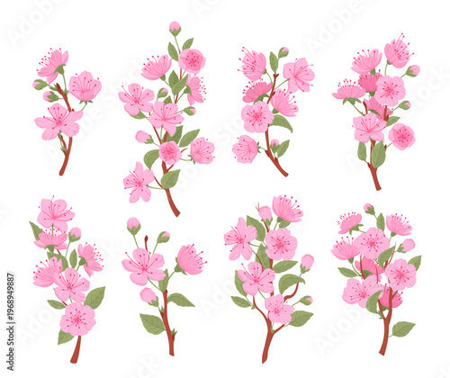 Spring blooming pink sakura tree. Japanese cherry branches, sakura buds and flowers flat vector illustration set. Cute fragrant blooming branches on white