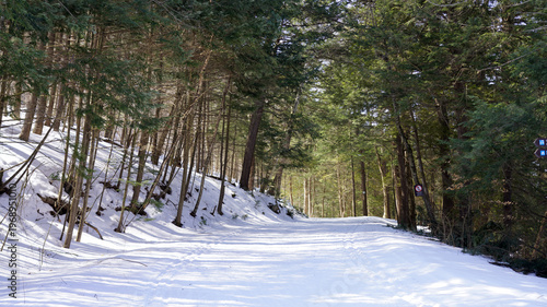 The vast, shimmering blue waters of Lake Van meet the rolling, arid mountains of Eastern Anatolia under a bright sky filled with scattered white clouds