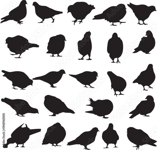 Pigeon Silhouettes: A collection of various silhouette of pigeons captured in different poses against a neutral backdrop, offering a unique perspective on these familiar birds.