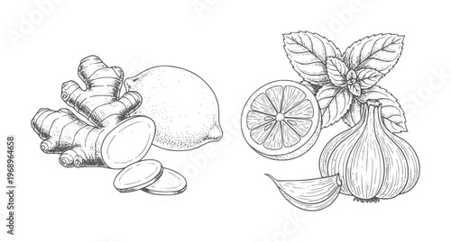 Black and white line of ginger lemon onion and basil leaves