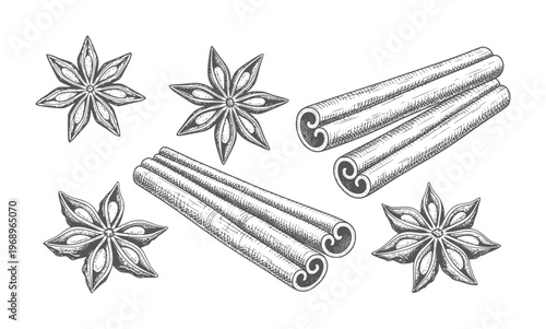 Black and white of star anise and cinnamon sticks spice