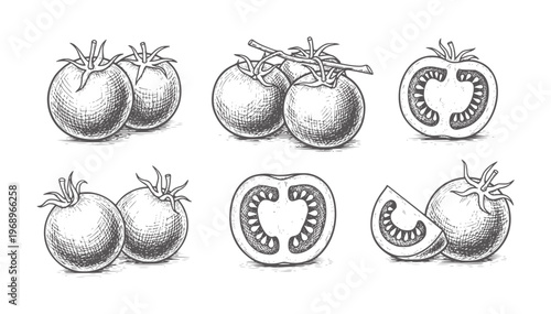 Monochrome hand drawn tomatoes whole sliced and halved
