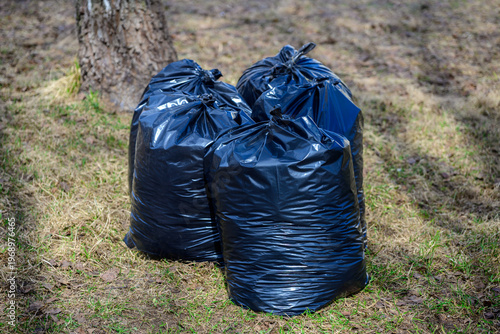 Black garbage bags filled with waste in park, trash collection and cleanup concept, environmental pollution and sanitation outdoors