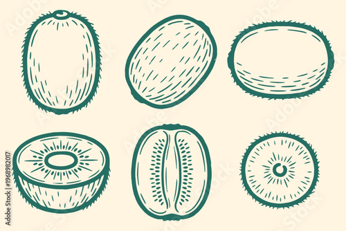 Kiwi Fruit Vector Set. Whole Halved Sliced Kiwi Views Vector Package. Hand Drawn Exotic Icons Isolated on Cream Background.