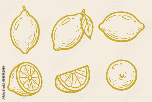 Lemon Citrus Fruit Vector Set. Whole Halved Sliced Lemon Vector Package. Hand Drawn Food Icons Isolated on Cream Background.