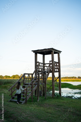 Woman climbing observation tower for birdwatching