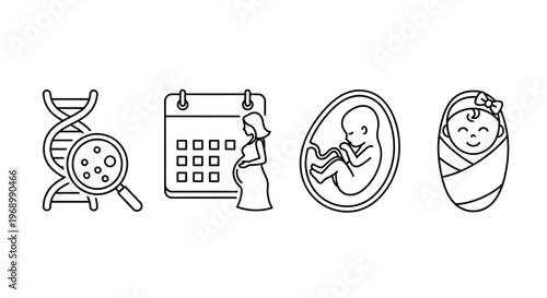 Pregnancy and New Life Journey From Genetics to Baby's Arrival