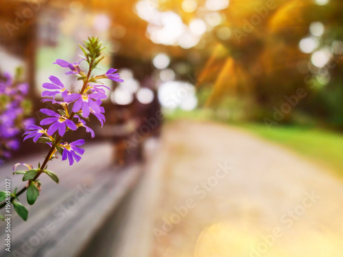 Pink roses bloom beside purple flowers. Sunlight glows softly through blurred green trees. Pathway leads gently into a peaceful garden. Natural beauty invites calm and quiet moments