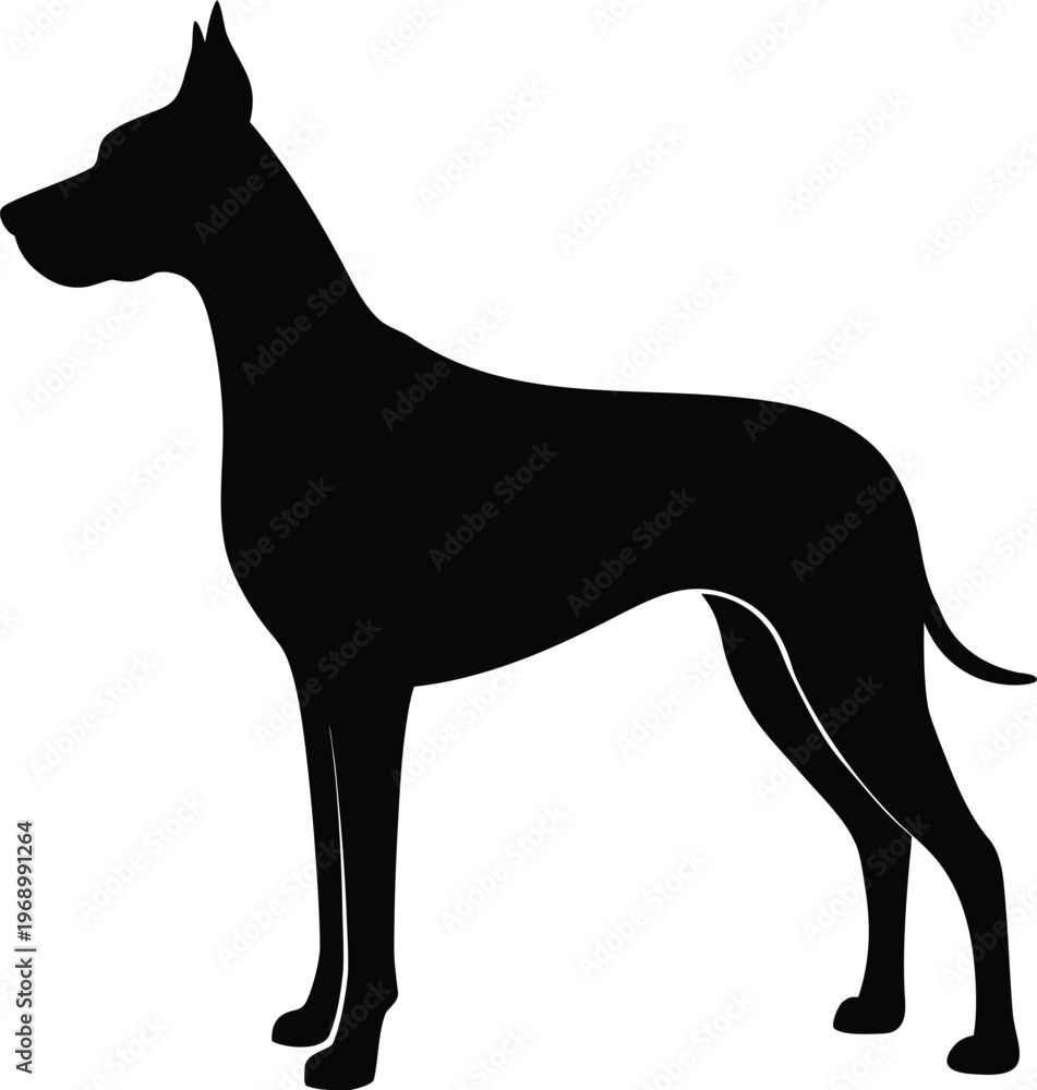 Obraz premium Great Dane Silhouette Vector Illustration For Pet Design