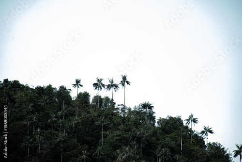 Nevado del Ruiz Colombia, Caldas, Naturaleza, nevados y viajes	
