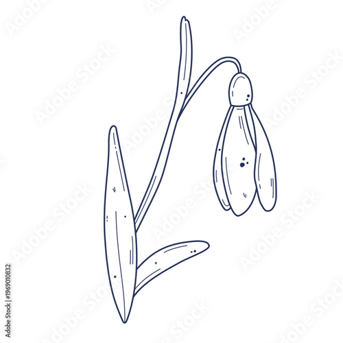 Outline snowdrop flower. Editable stroke doodle style vector Illustration