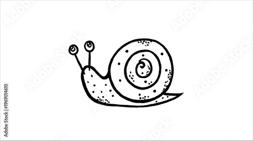 Cute cartoon snail black and white line drawing. Simple outline illustration of a garden mollusk for children's designs.