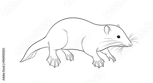 Outlined illustration of a tasmanian devil in a walking pose isolated on white