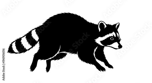 Black and white vector illustration of a raccoon running on a white background