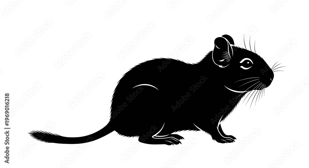 Obraz premium Black silhouette of rodent isolated on white background