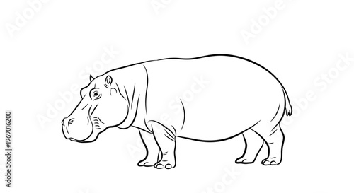 Line drawing of a hippopotamus in a simple artistic style on white
