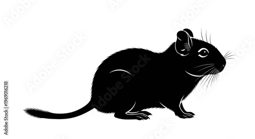Black silhouette of rodent isolated on white background