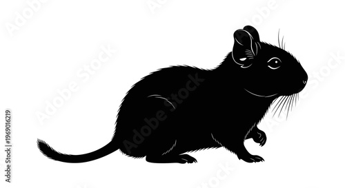 Black silhouette rodent isolated on white background