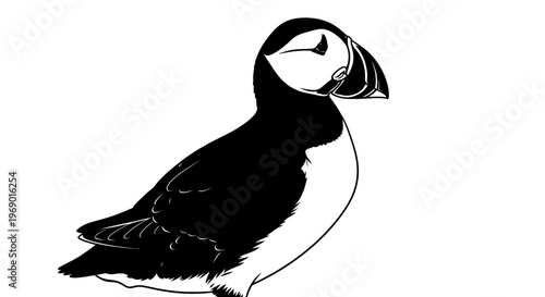 Black and white illustration of a puffin bird on a white background