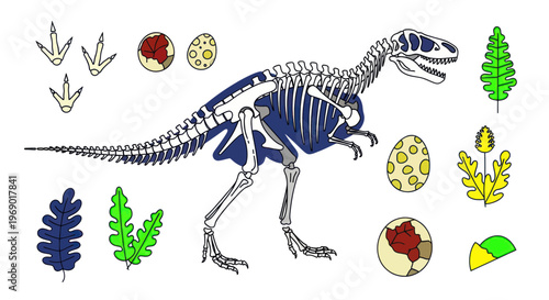 Dinosaur Skeleton, Eggs, Footprints, and Fossilized Plants on White Background