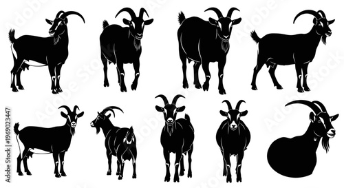 Eight goats standing and sitting in various positions on white background