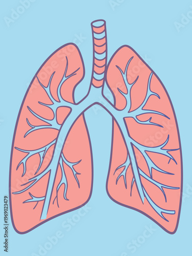 Illustration of human lungs with detailed bronchial structure on a light blue background, showcasing the respiratory system's anatomy and function in a clear, educational style