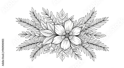 Elegant botanical line art illustration featuring a beautiful flower surrounded by ornate leaves. Hand-drawn floral design element.