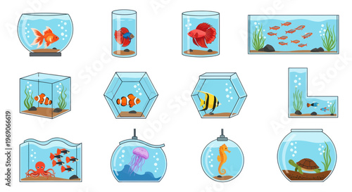 Various Aquariums with Diverse Aquatic Life Collection