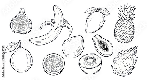 Hand-drawn tropical fruits illustration, exotic collection, black and white sketch