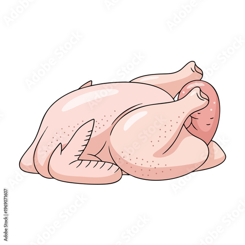 A cartoon depiction of a whole, raw, uncooked chicken with its wings and legs tucked in