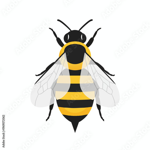 A top-down view of a stylized, flat-design bee with yellow and black stripes and translucent wings