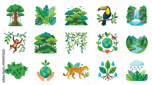 Collection of vibrant illustrations depicting Amazon rainforest elements, including diverse flora, fauna, and natural landscapes.