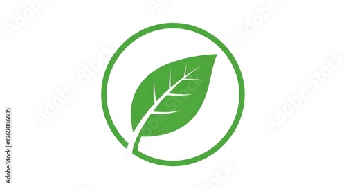 A green leaf with a white background