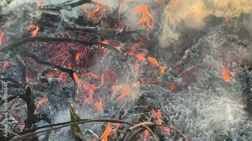 枯れ草 野火の炎のテクスチャー動画