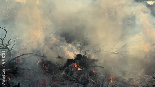 枯れ草 野火の炎のテクスチャー動画