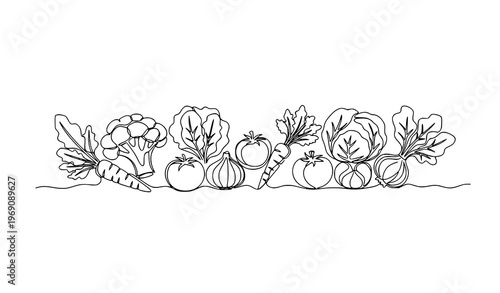 Continuous One Line Vegetable Drawing Broccoli Carrot Tomato Vector