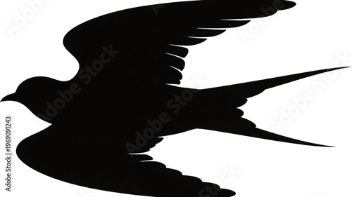 Flying Swallow Bird Silhouette
